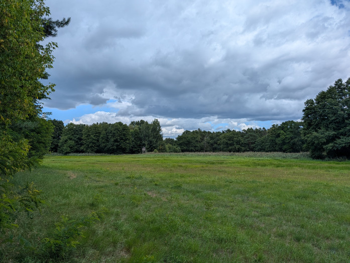 Qualitativ ist der Unterschied zum Pixel 10 Pro XL zu vernachlässigen. (Bild: Tobias Költzsch/Golem)